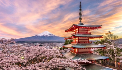 Tour Tokyo – núi Phú Sĩ 5 ngày 4 đêm bay Vietnam Airlines: giá, lịch trình và điều kiện visa Nhật