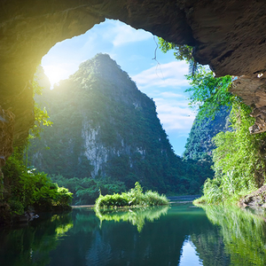 HOA LƯ - TAM CỐC