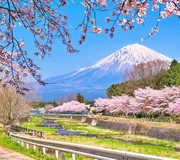 HÀ NỘI - NAGOYA - OSAKA – NARA - KYOTO – TOYOHASHI– NÚI PHÚ SĨ - TOKYO