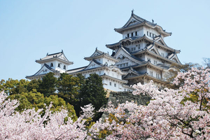 HÀ NỘI - TOKYO – YAMANASHI – NÚI PHÚ SĨ – OBARA - NAGOYA – KYOTO – OSAKA