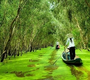 PHÚ QUỐC - CÀ MAU - BẠC LIÊU - PHÚ YÊN - SÓC TRĂNG - CẦN THƠ - TIỀN GIANG - SÀI GÒN