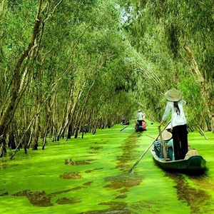 PHÚ QUỐC - CÀ MAU - BẠC LIÊU - PHÚ YÊN - SÓC TRĂNG - CẦN THƠ - TIỀN GIANG - SÀI GÒN