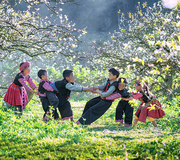 MAI CHÂU - MỘC CHÂU - MÙ CANG CHẢI