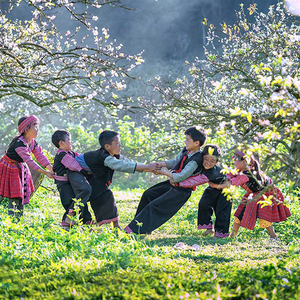 MAI CHÂU - MỘC CHÂU - MÙ CANG CHẢI